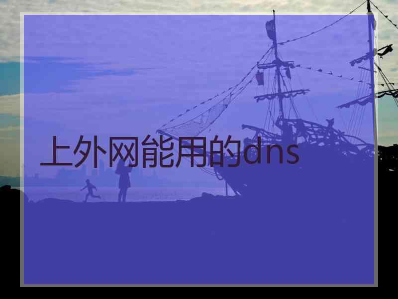 上外网能用的dns