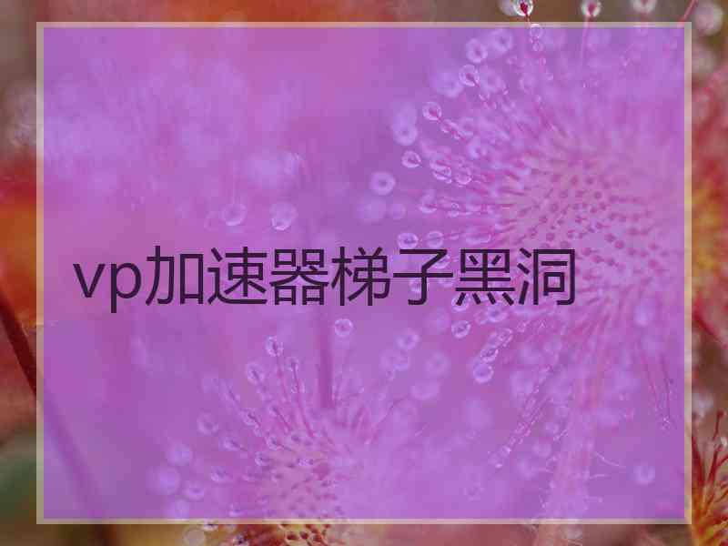 vp加速器梯子黑洞