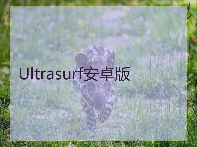 Ultrasurf安卓版