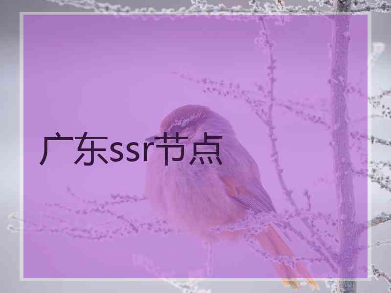 广东ssr节点