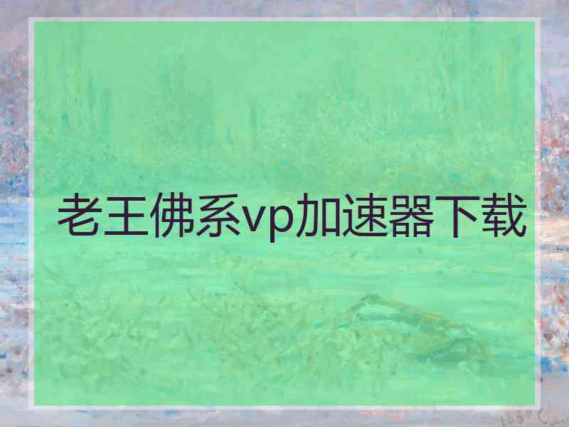 老王佛系vp加速器下载