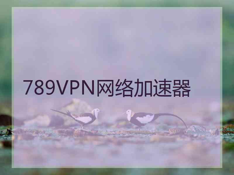 789VPN网络加速器