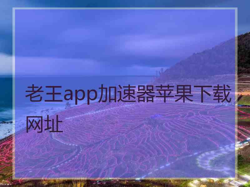 老王app加速器苹果下载网址