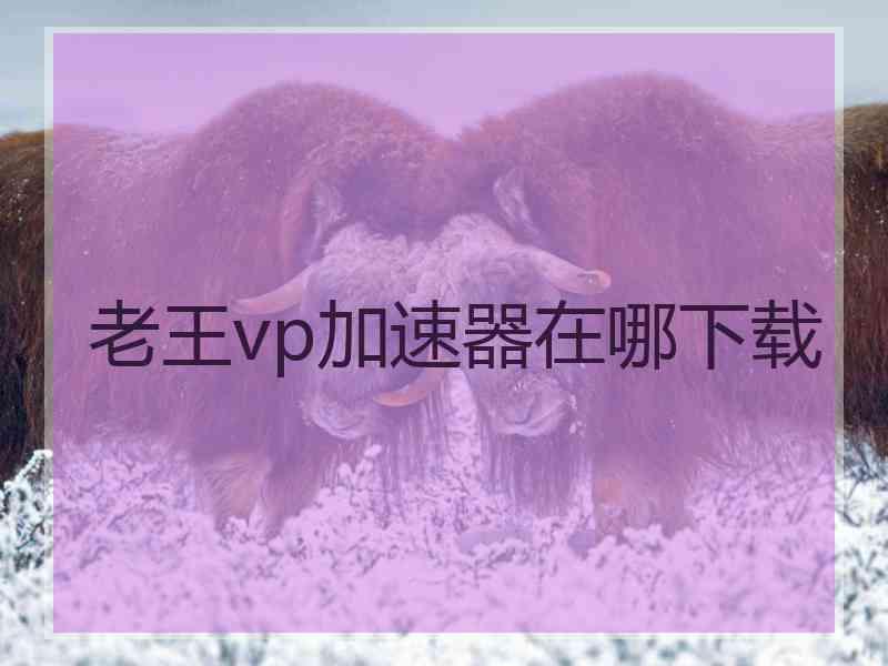 老王vp加速器在哪下载