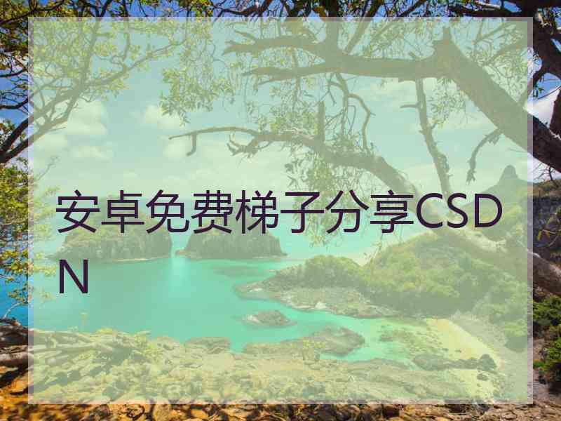 安卓免费梯子分享CSDN